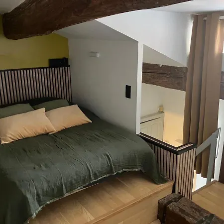 Daire Duplex A 100m De La Comedie *