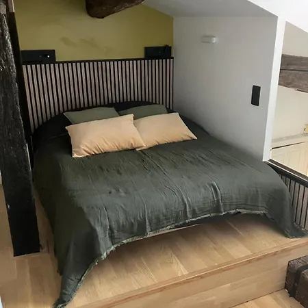 Duplex A 100m De La Comedie Daire